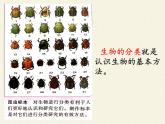 蘇教版八年級生物上冊 14.4  生物的分類 課件