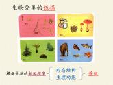 蘇教版八年級生物上冊 14.4  生物的分類 課件
