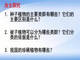 苏教版八年级生物上册 14.1 五彩缤纷的植物世界（第2课时） 课件