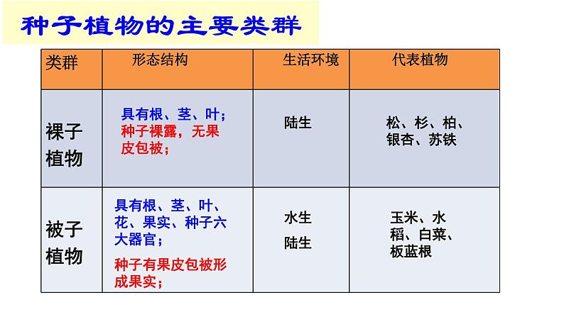 苏教版八年级生物上册 14.1 五彩缤纷的植物世界（第2课时） 课件第8页