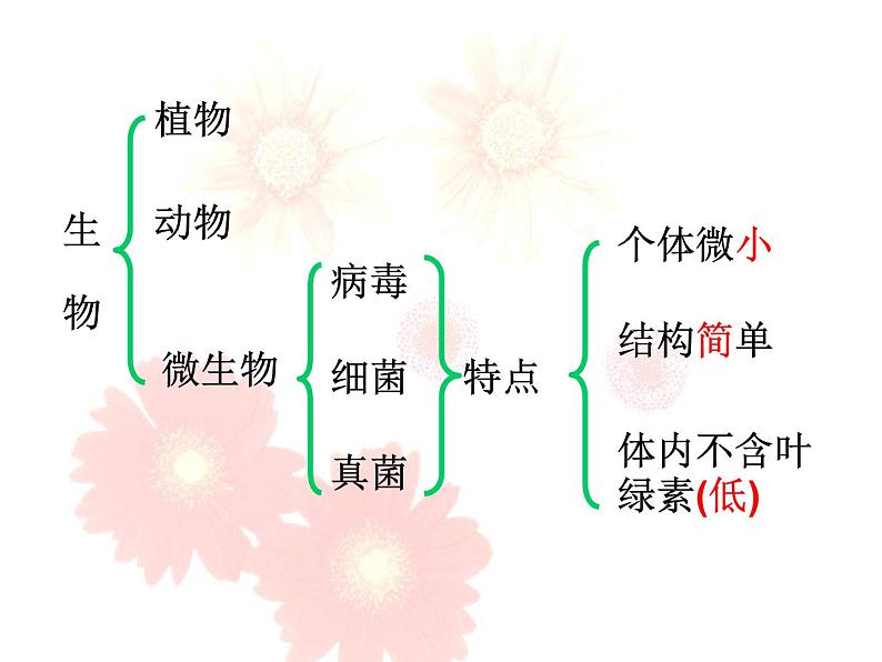 苏教版八年级生物上册 14.3 神奇的微生物_ 课件02