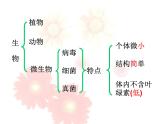 苏教版八年级生物上册 14.3 神奇的微生物_ 课件