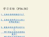 蘇教版八年級生物上冊 14.4  生物的分類(2) 課件