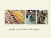 蘇教版八年級生物上冊 14.4  生物的分類(4) 課件