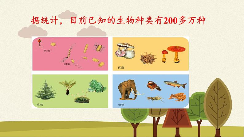 苏教版八年级生物上册 14.4  生物的分类(5) 课件03