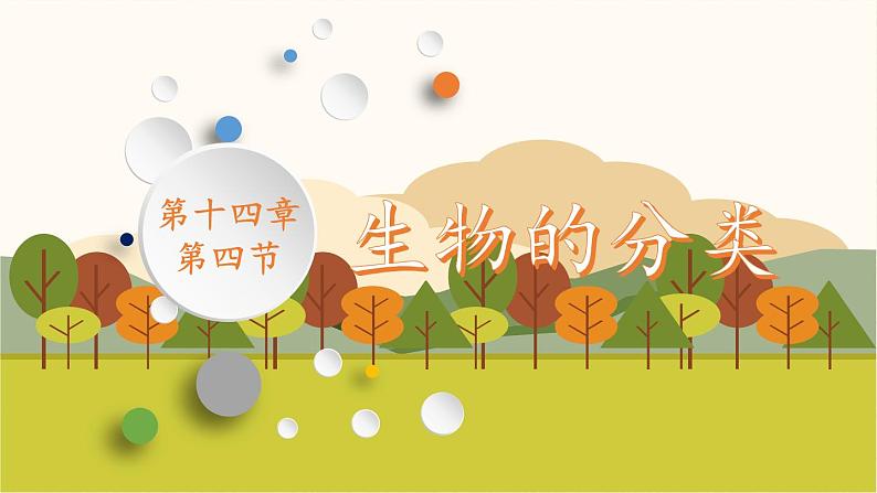 苏教版八年级生物上册 14.4  生物的分类(5) 课件04