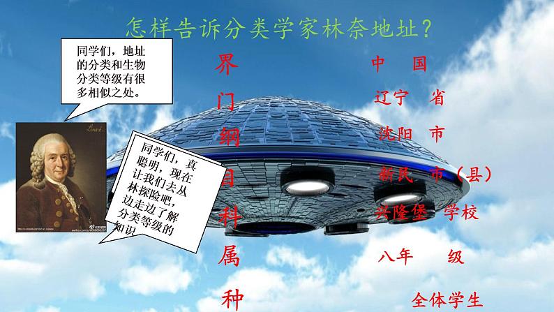 苏教版八年级生物上册 14.4  生物的分类(5) 课件07