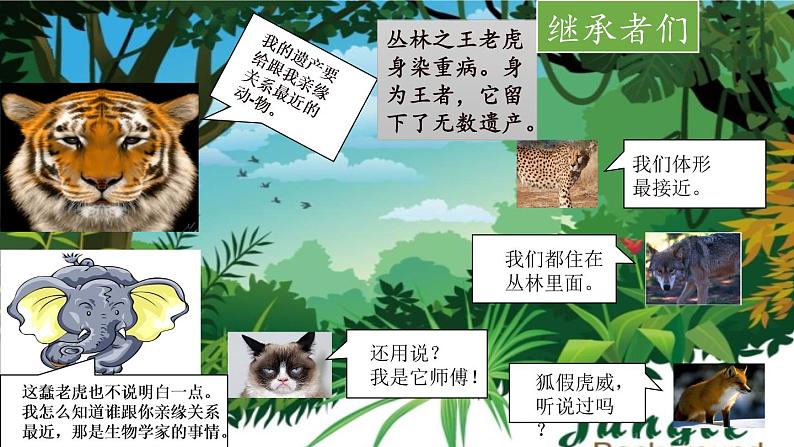 苏教版八年级生物上册 14.4  生物的分类(5) 课件08