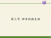 苏教版八年级生物上册 14.3 神奇的微生物 课件