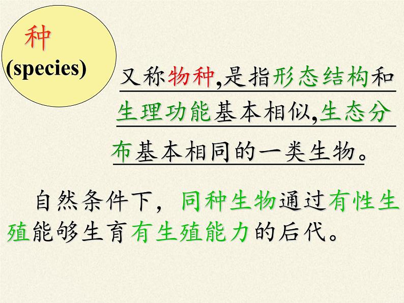 苏教版八年级生物上册 14.4  生物的分类(6) 课件06