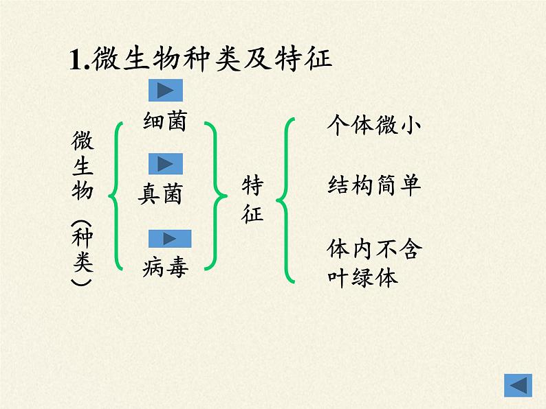 苏教版八年级生物上册 14.3 神奇的微生物(1) 课件05