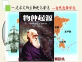 蘇教版八年級生物上冊 16.3  生物進化的學(xué)說(2) 課件