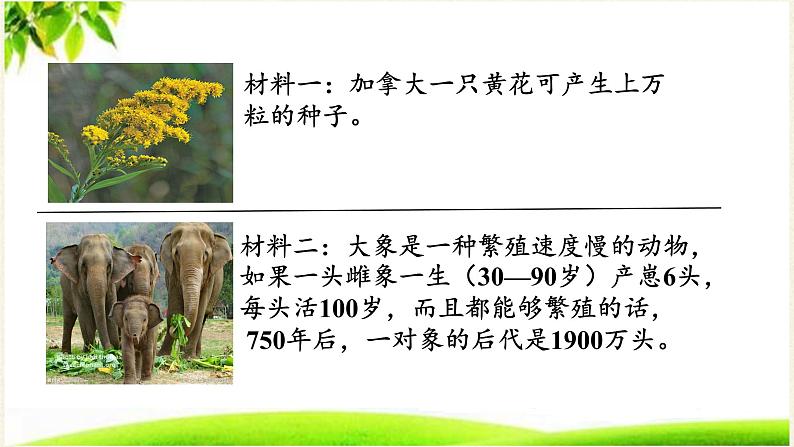 苏教版八年级生物上册 16.3  生物进化的学说(2) 课件05