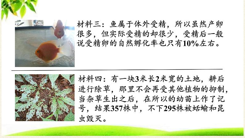 苏教版八年级生物上册 16.3  生物进化的学说(2) 课件06