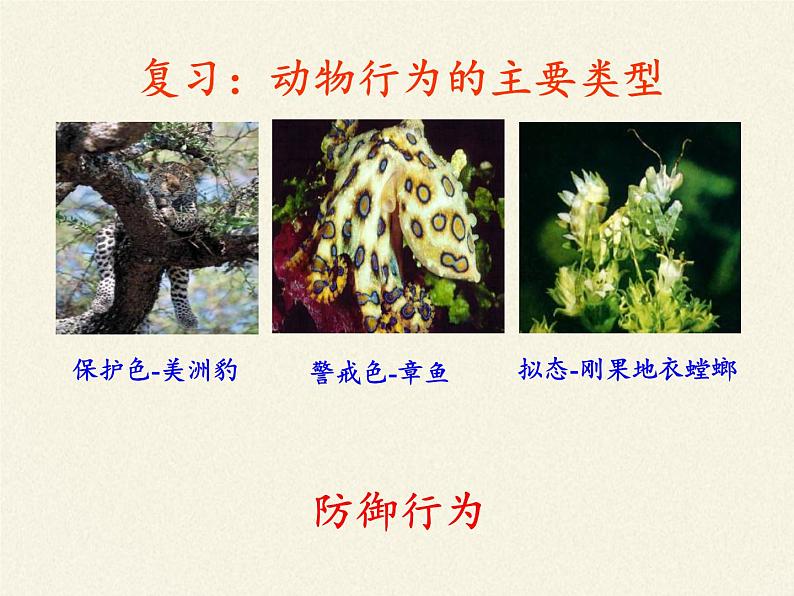 苏教版八年级生物上册 18.2 动物行为的生理基础(2) 课件第4页