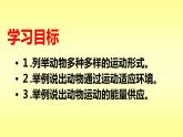 苏教版八年级生物上册 17.1 动物运动的形式和能量供应 课件