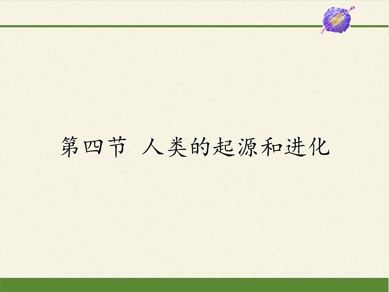 苏教版八年级生物上册 16.4 人类的起源和进化 课件第1页