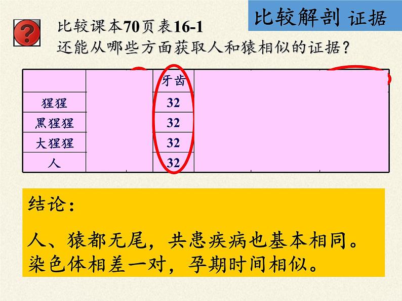 苏教版八年级生物上册 16.4 人类的起源和进化 课件第8页