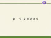 苏教版八年级生物上册 16.1  生命的诞生(3) 课件