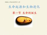 苏教版八年级生物上册 16.1  生命的诞生(3) 课件