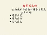 苏教版八年级生物上册 16.1  生命的诞生(3) 课件