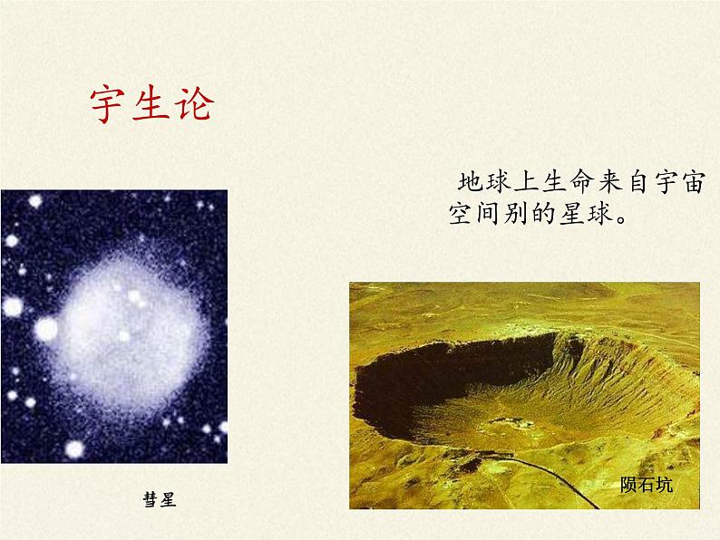 苏教版八年级生物上册 16.1  生命的诞生(3) 课件08