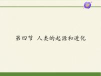 初中生物苏教版八年级上册第四节 人类的起源和进化课堂教学ppt课件