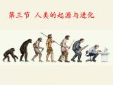 苏教版八年级生物上册 16.4 人类的起源和进化(3) 课件