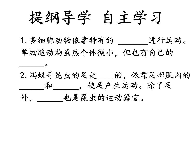 苏教版八年级生物上册 17.2 动物的运动依赖于一定的结构_ 课件04