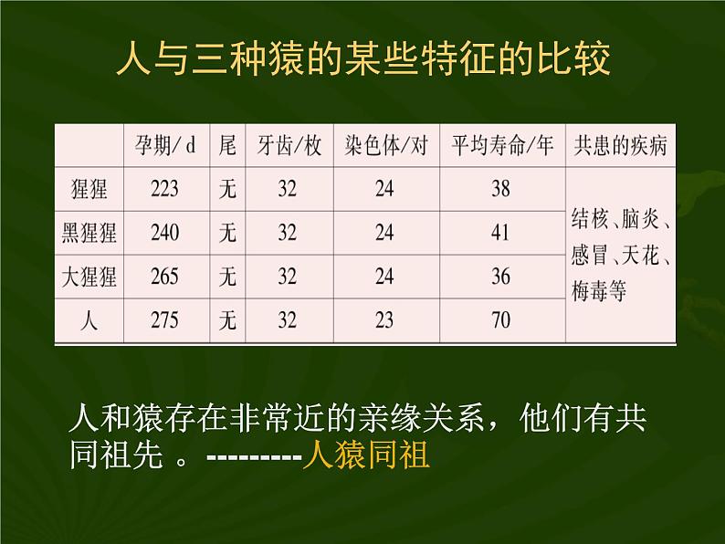 苏教版八年级生物上册 第16章第4节 人类的起源和进化 课件第6页