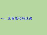 苏教版八年级生物上册 16.2   生物进化的历程(1) 课件