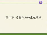 苏教版八年级生物上册 18.2 动物行为的生理基础(3) 课件