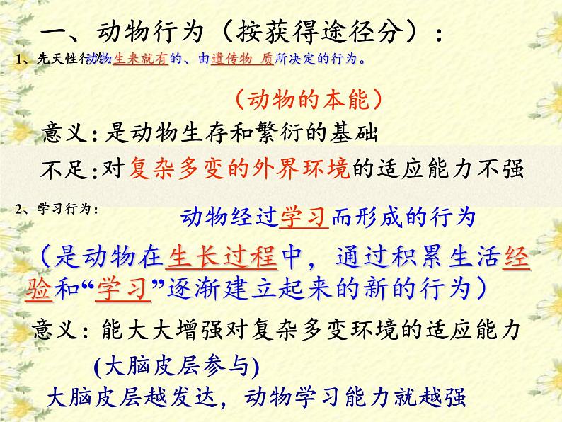 苏教版八年级生物上册 18.2 动物行为的生理基础(3) 课件06