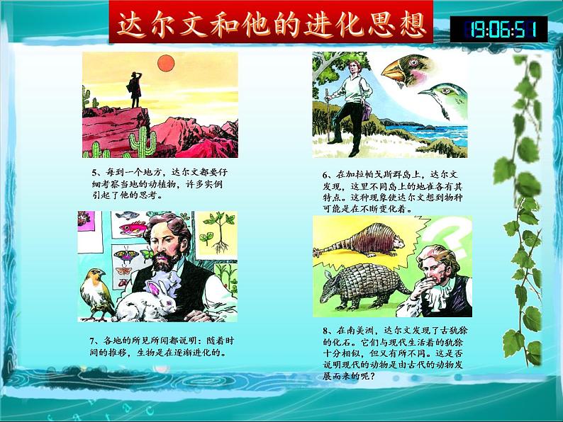 苏教版八年级生物上册 16.3  生物进化的学说 课件08