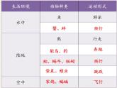 苏教版八年级生物上册 17.1  动物运动的形式和能量供应 课件