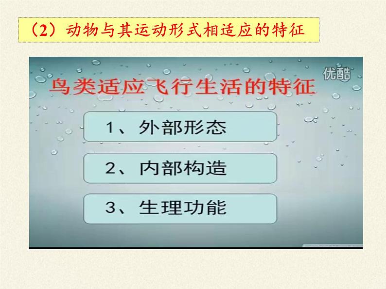 苏教版八年级生物上册 17.1  动物运动的形式和能量供应 课件第6页