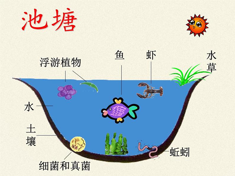 苏教版八年级生物上册 19.1  生态系统的组成(1) 课件第5页