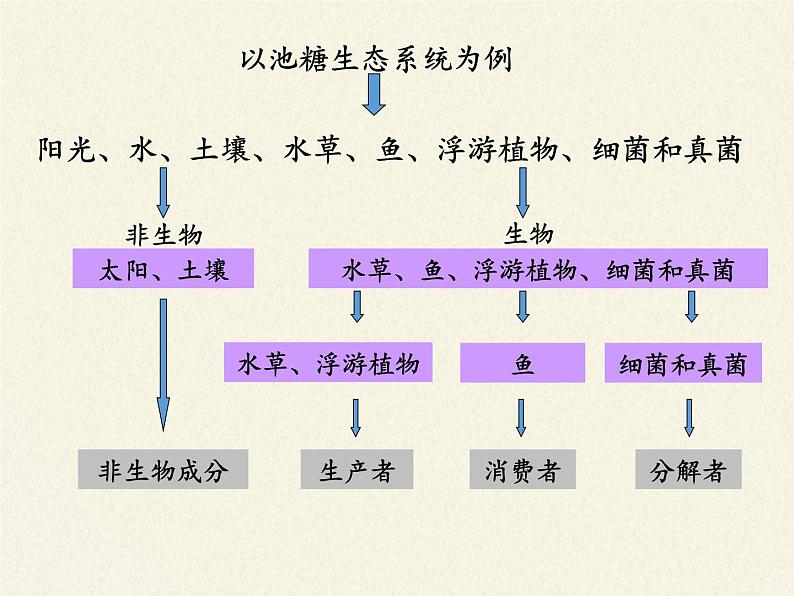 苏教版八年级生物上册 19.1  生态系统的组成(1) 课件第6页