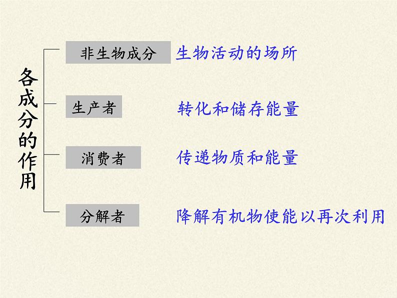 苏教版八年级生物上册 19.1  生态系统的组成(1) 课件第8页