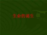 苏教版八年级生物上册 16.1 生命的诞生_ 课件