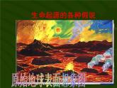 苏教版八年级生物上册 16.1 生命的诞生_ 课件