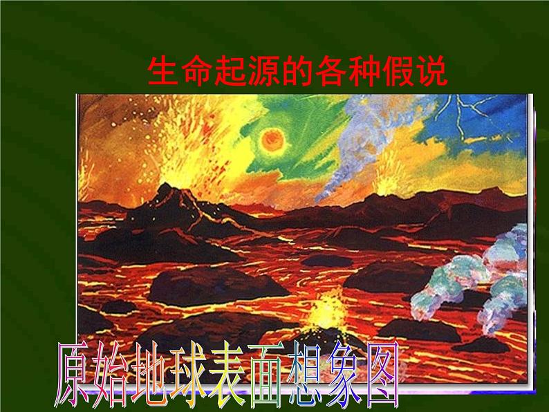 苏教版八年级生物上册 16.1 生命的诞生_ 课件03