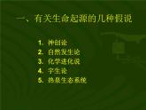 苏教版八年级生物上册 16.1 生命的诞生_ 课件