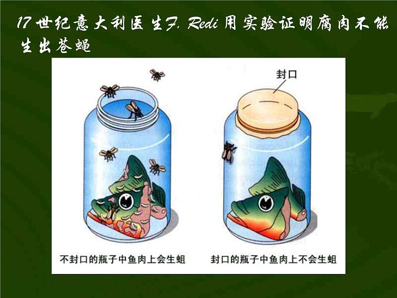 苏教版八年级生物上册 16.1 生命的诞生_ 课件07