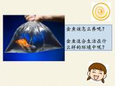 苏教版八年级生物上册 19.1  生态系统的组成(2) 课件