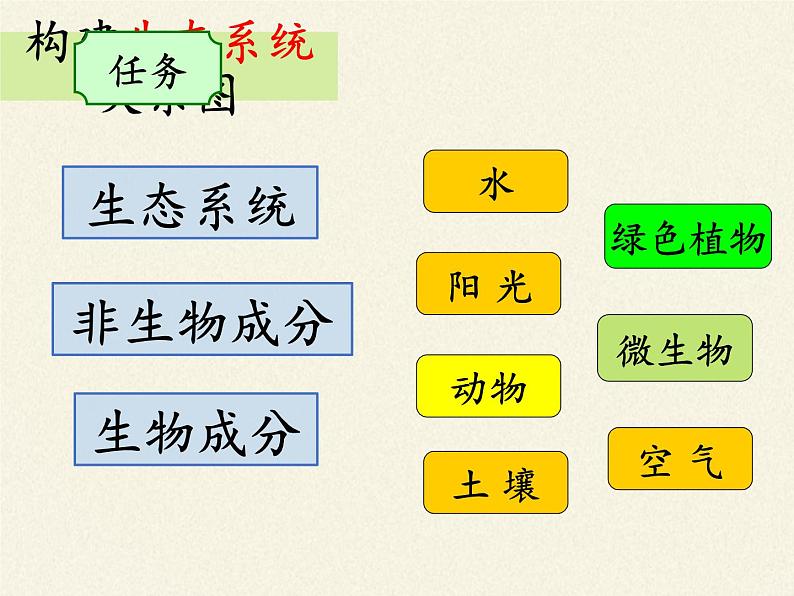 苏教版八年级生物上册 19.1  生态系统的组成(2) 课件07