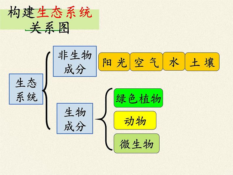 苏教版八年级生物上册 19.1  生态系统的组成(2) 课件08