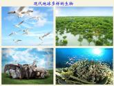 苏教版八年级生物上册 16.1 生命的诞生 课件