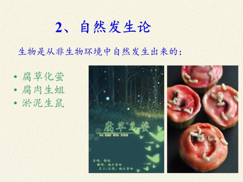 苏教版八年级生物上册 16.1 生命的诞生 课件08