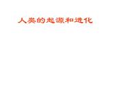 苏教版八年级生物上册 16.4 人类的起源和进化_ 课件